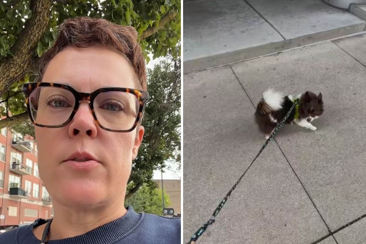 Candice organizó una red de voluntarios para pasear gratis a perros de migrantes que no salen por las redadas