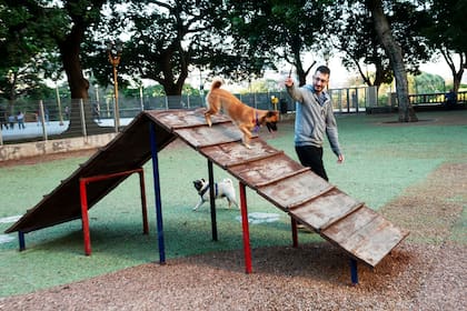Hay plazas en CABA donde se crearon caniles especiales para el disfrute de los perros
