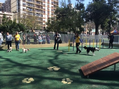 En las plazas y parques de la ciudad hay espacios destinados y cerrados únicamente para pasear perros y separarlos de los niños y adultos que pasean o juegan en el lugar, como este canil en el Parque Lezama