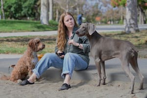 La maternidad y sus cambios, en una adaptación que no se atreve a la transgresión