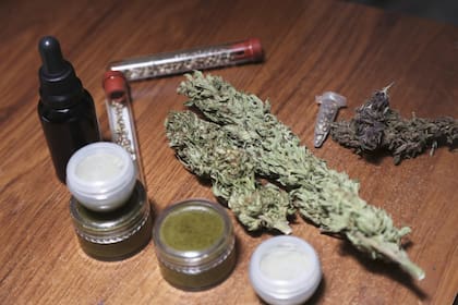 El Gobierno autorizó hoy, a nivel nacional, el autocultivo controlado de cannabis medicinal, al igual que el acceso de sus aceites y derivados en farmacias autorizadas.