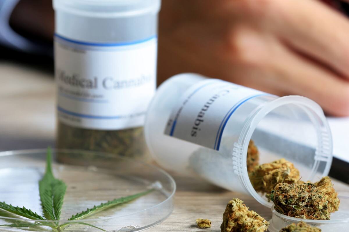 Cannabis medicinal