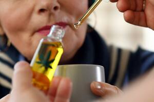 cannabis medicinal, legal en Argentina