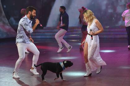 Cantando 2020: sin su compañera, Cachete Sierra dividió al jurado