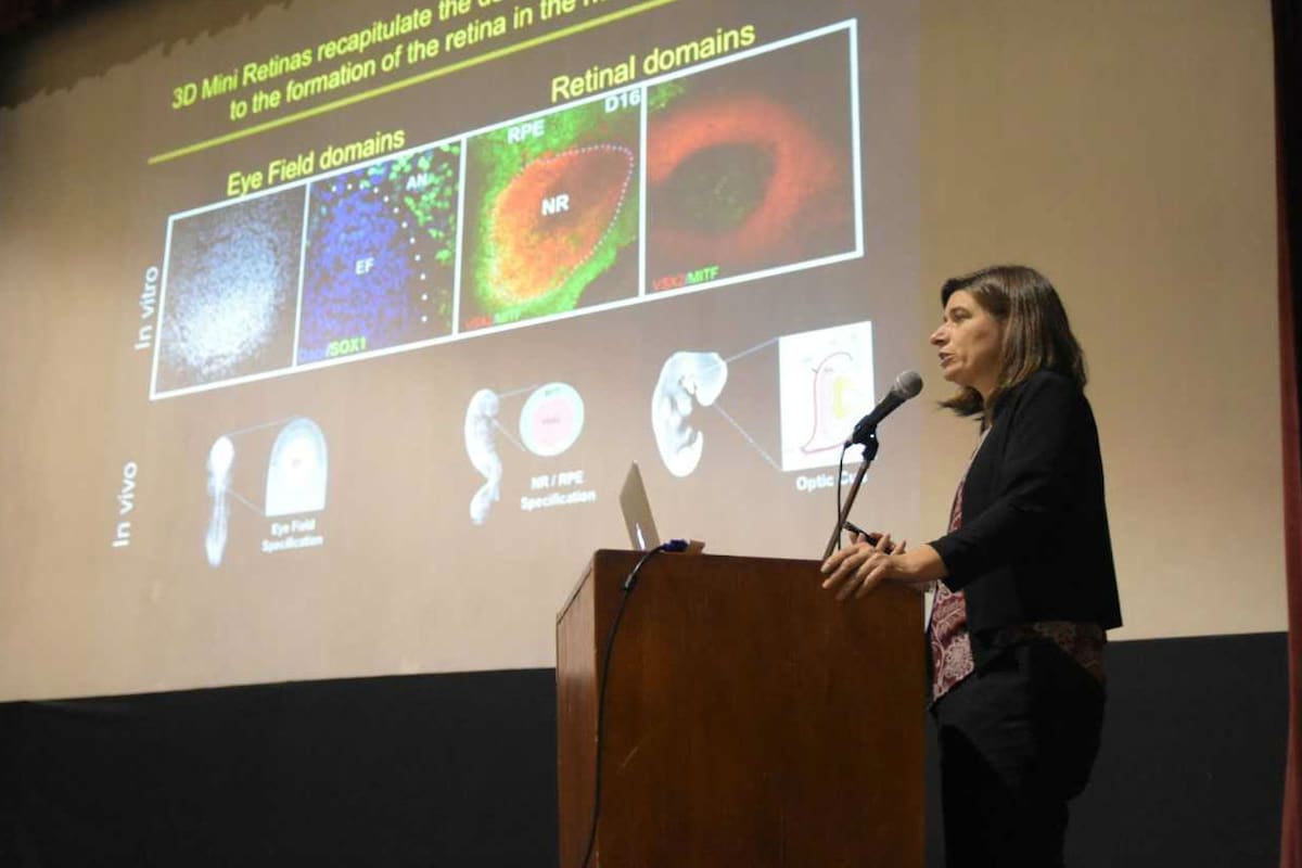 Canto-Soler nació en Mendoza y estudió en Córdoba