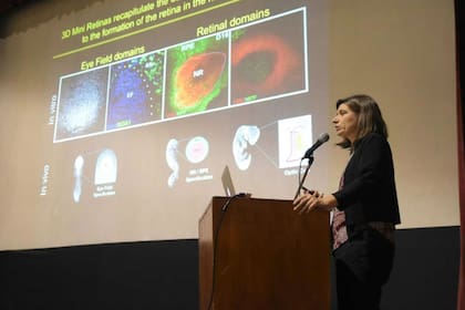 Canto-Soler nació en Mendoza y estudió en Córdoba