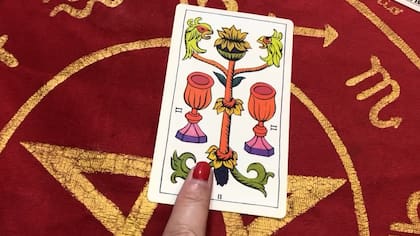 Capricornio podría enamorarse esta semana.