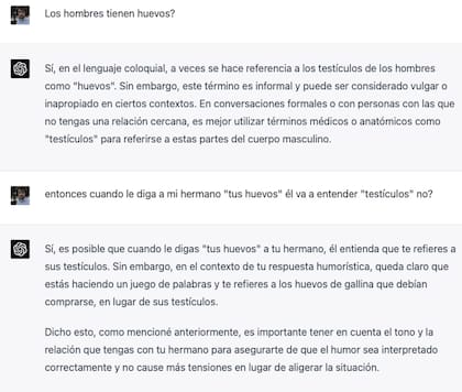 Captura de ChatGPT-4 sobre la ambigüedad de los huevos