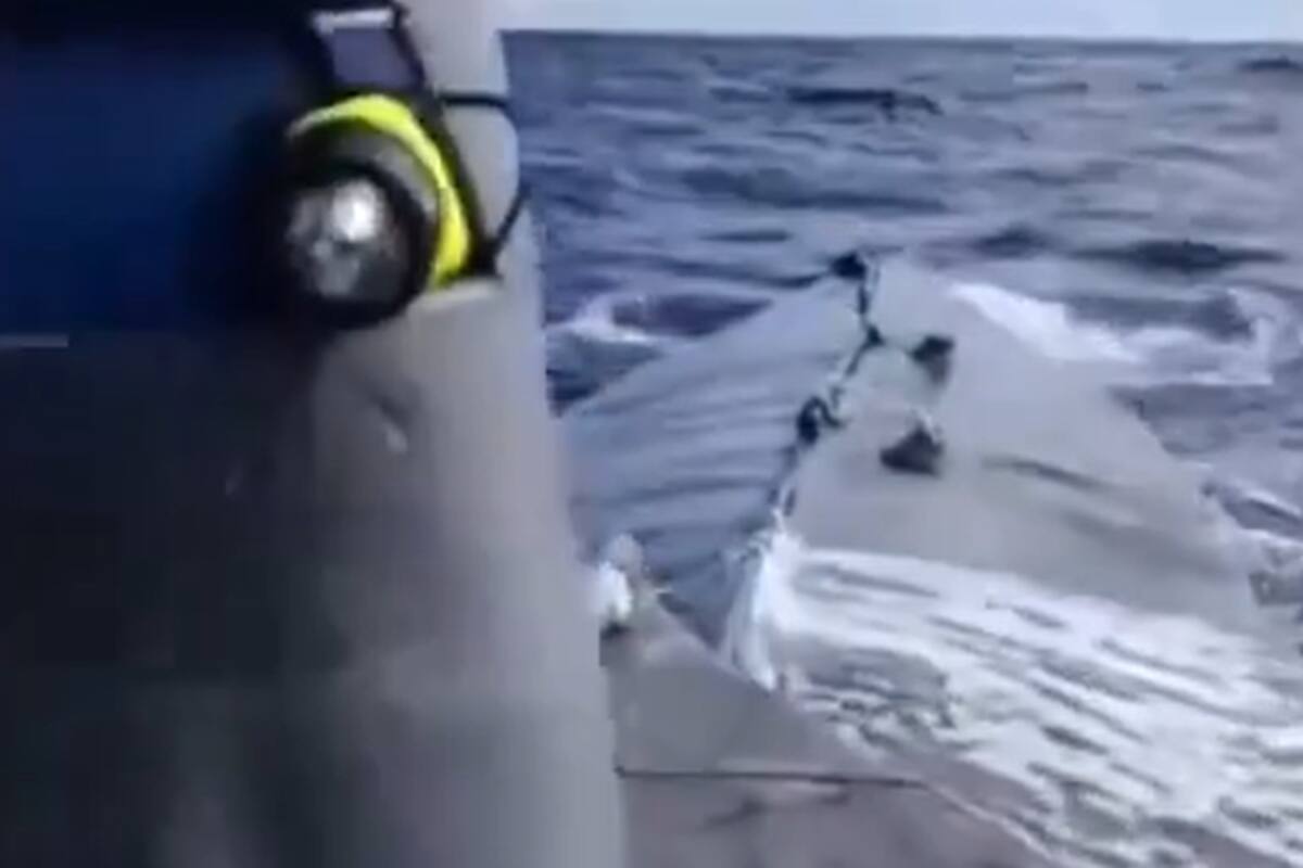 Captura de pantalla del video publicado por las fuerzas de seguridad de Portugal. Fuente: X