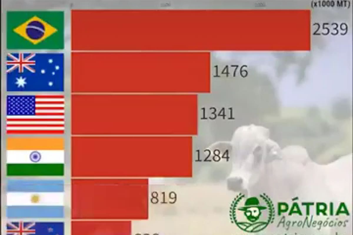 Captura del video de Patria, de Brasil