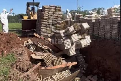 Captura del video que Avícola Santa Ana difundió de la destrucción de huevos