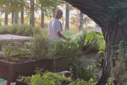 Captura del video que difundió regando los vegetales en su finca de San Pedro