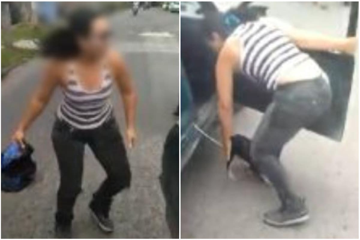 Capturaron el momento en que una mujer presuntamente lastimaba a un perro (Crédito: Twitter)