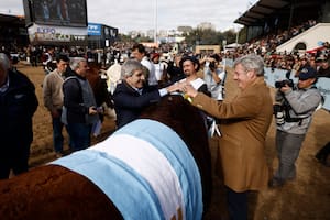 Caputo enfrió la posibilidad de medidas cuando Milei visite la Rural