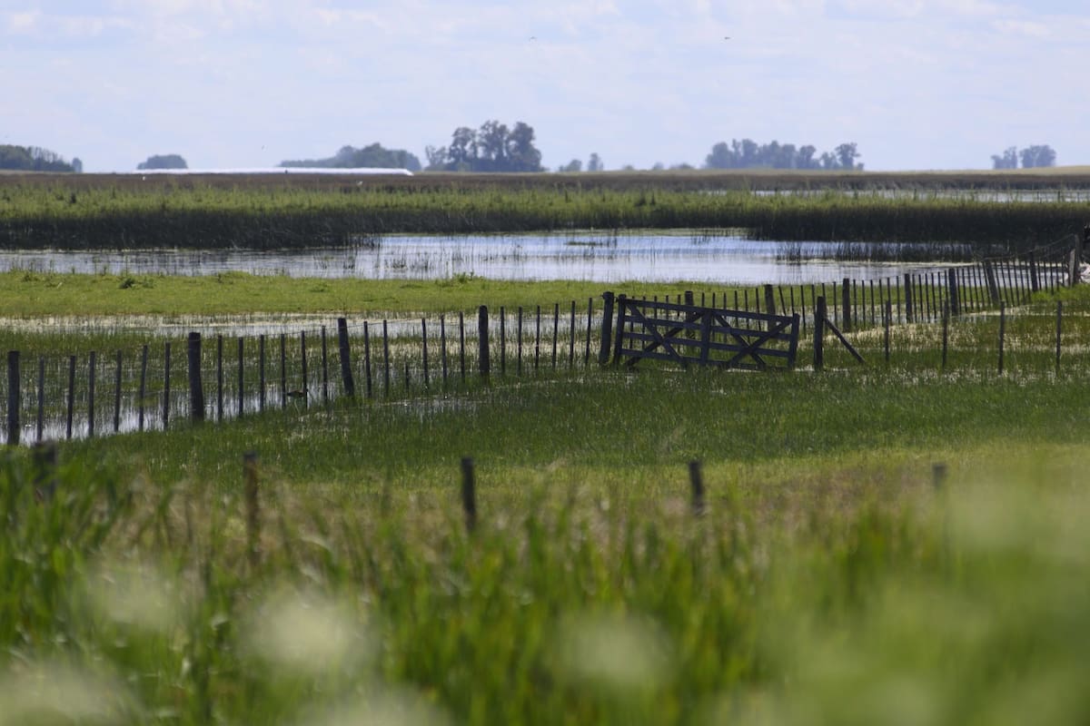 Carbap rechazó el incremento en el Inmobiliario Rural