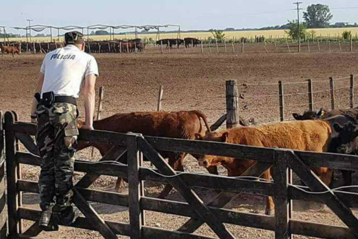 Carbap reclama una ley con presupuesto propio para las patrullas rurales