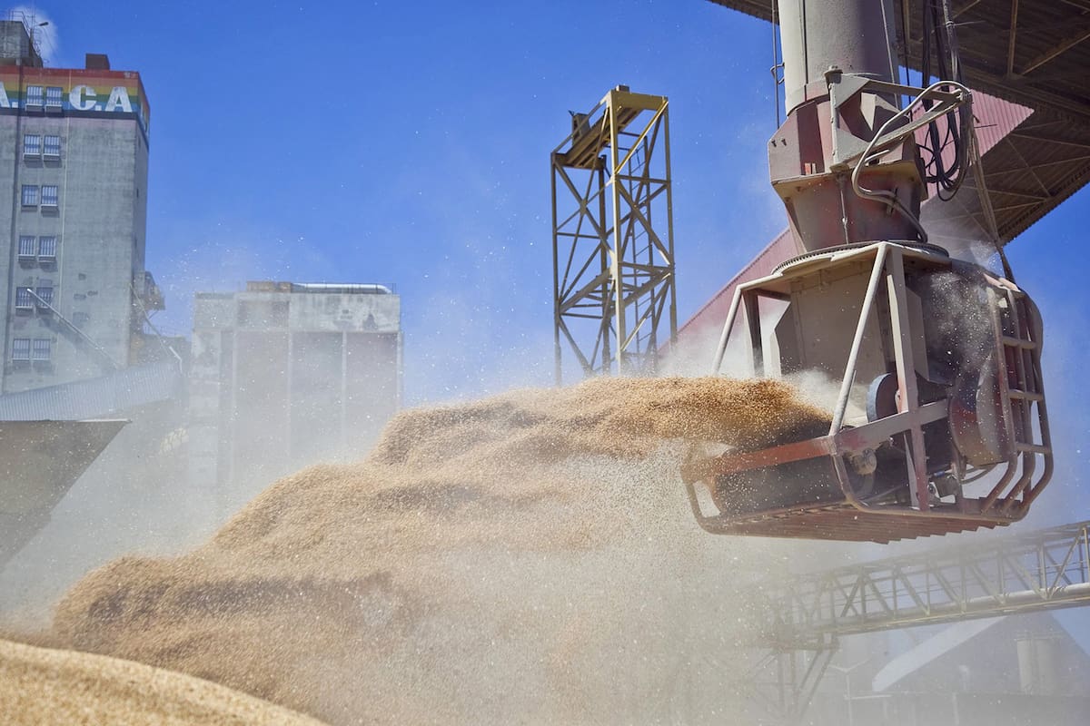 Carga de buque para exportacion soja