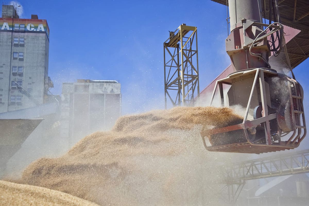 Carga de buque para exportacion
soja
Foto: Ministerio de Agricultura de la Naci
