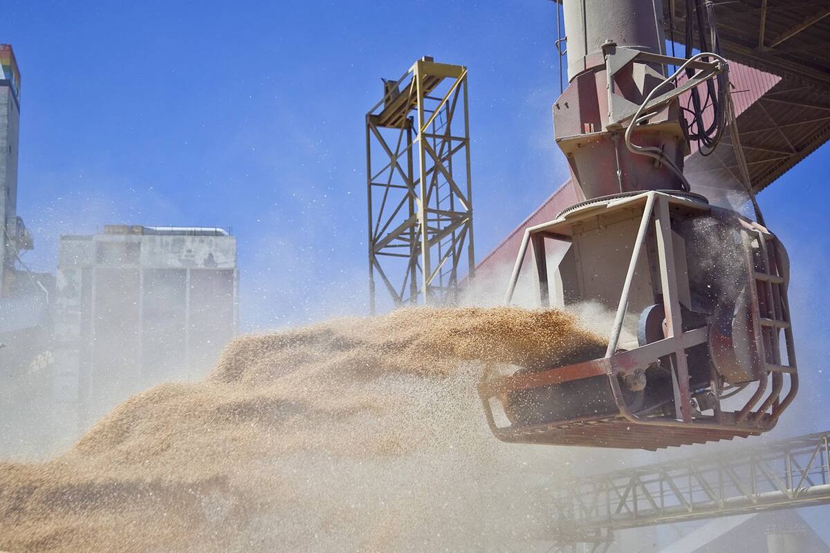 Carga de buque para exportacion
soja
Foto: Ministerio de Agricultura de la Naci