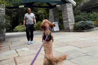 Carl Heastie califica a su perra Paisley como el amor de su vida