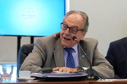 A petición de la oposición, el presidente de la Comisión de Presupuesto, Carlos Heller, aceptó postergar la firma del dictamen del presupuesto 2021 hasta mañana.