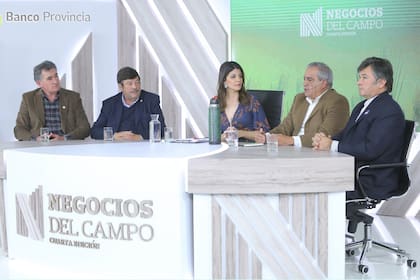 Carlos Achetoni, Dardo Chiesa, Carlos Iannizzotto y Daniel Pelegrina, entrevistados por Eleonora Cole