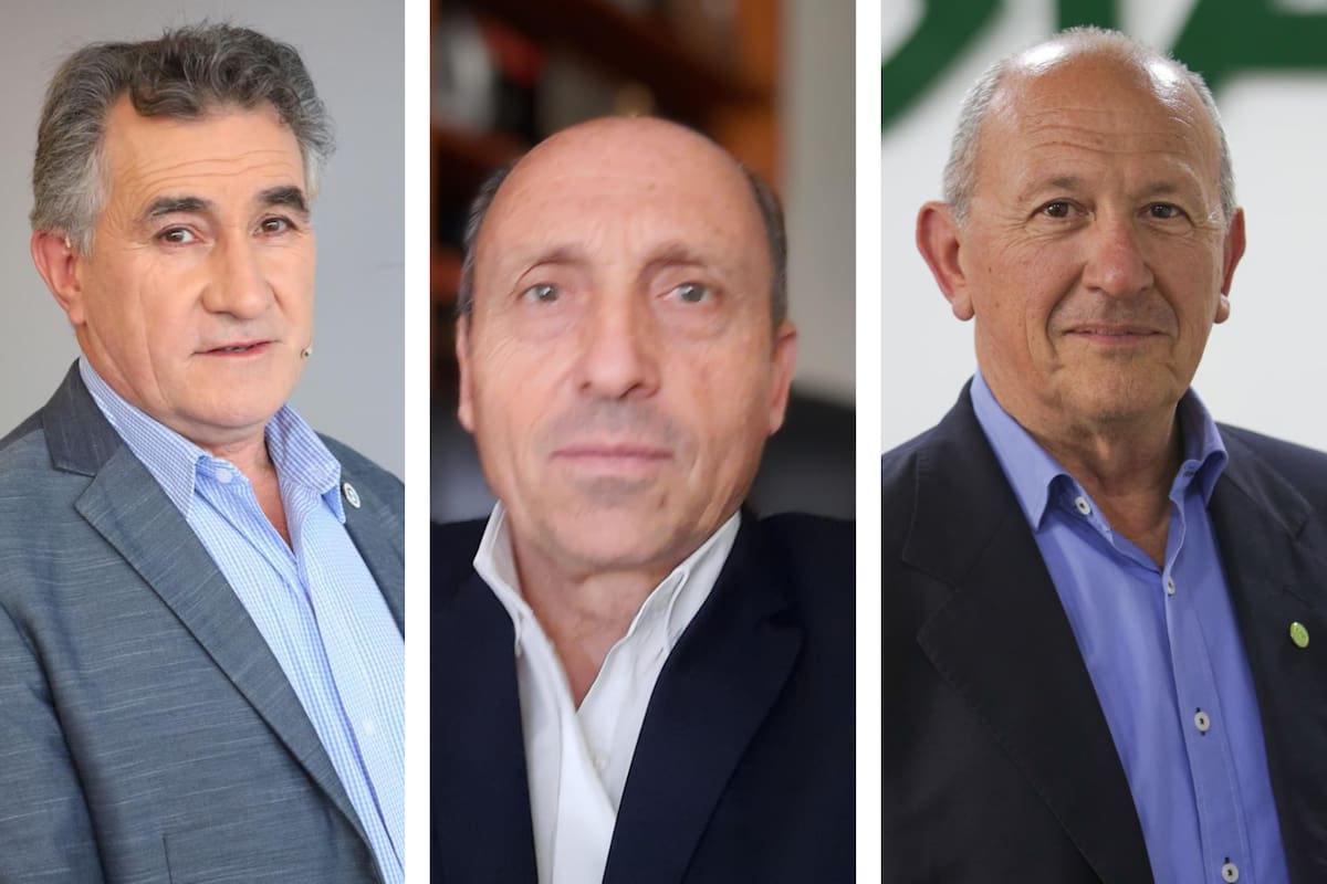 Carlos Achetoni, presidente de FAA; Horacio Salaverri, presidente de Carbap, y Carlos Castagnanin, presidente de CRA