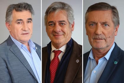 Carlos Achetoni, presidente de FAA; Nicolás Pino, presidente de la SRA, y Elbio Laucirica, presidente de Coninagro