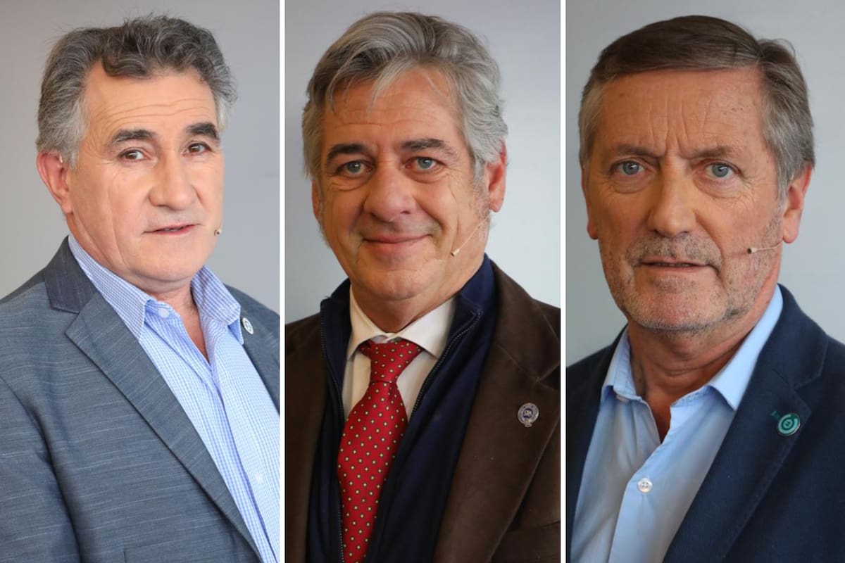 Carlos Achetoni, presidente de FAA; Nicolás Pino, presidente de la SRA, y Elbio Laucirica, presidente de Coninagro