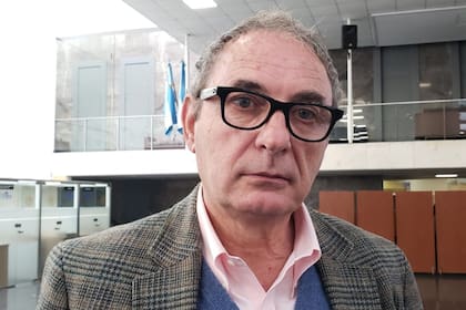 Carlos Almiroty, Cámara Algodonera Argentina, dijo que cuando a la política se le cae una idea es "dirigista"