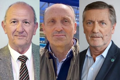Carlos Castagnani (CRA), Horacio Salaverri (Carbap) y Elbio Laucirica (Coninagro)