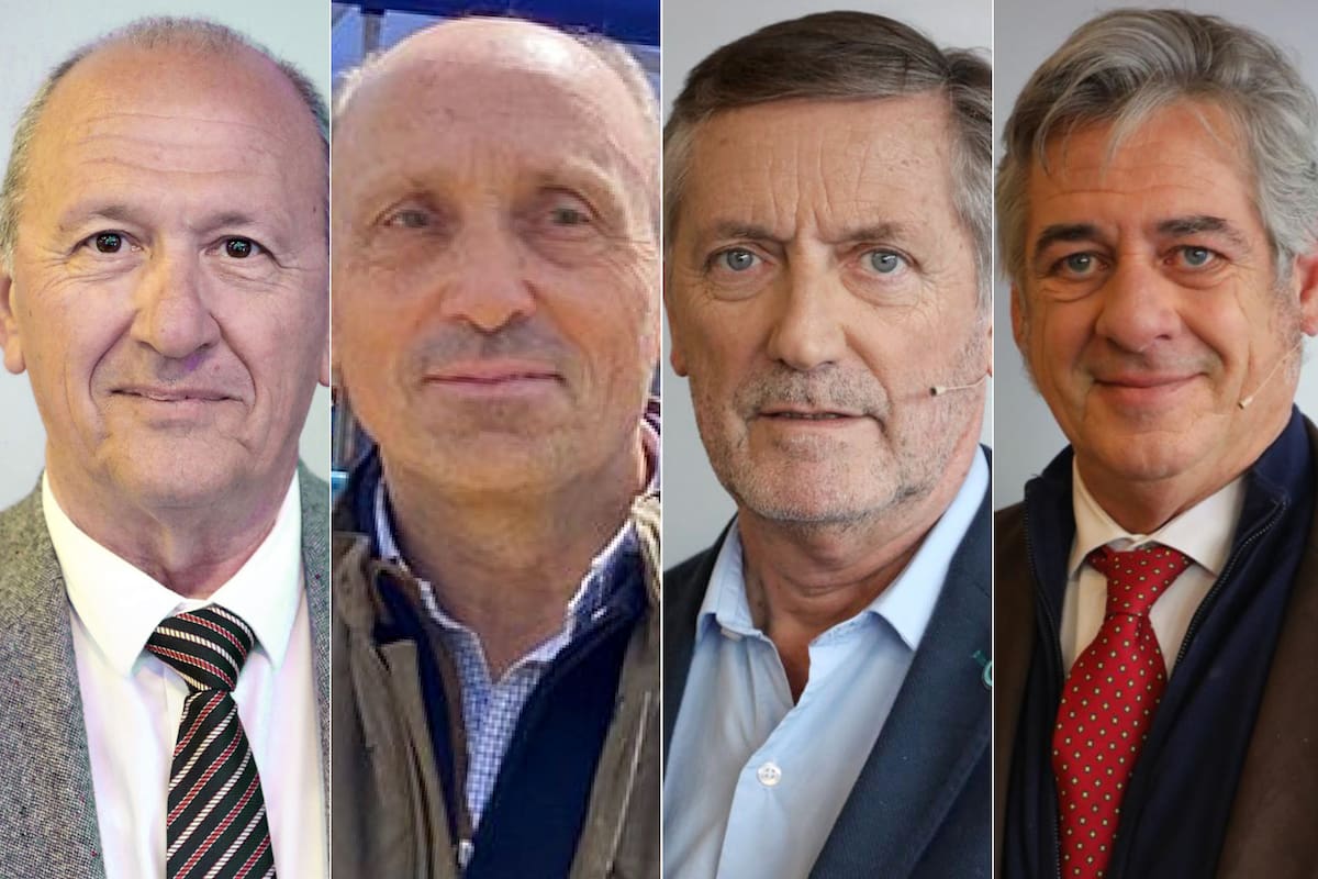 Carlos Castagnani, Horacio Salaverri, Elbio Laucirica y Nicolás Pino