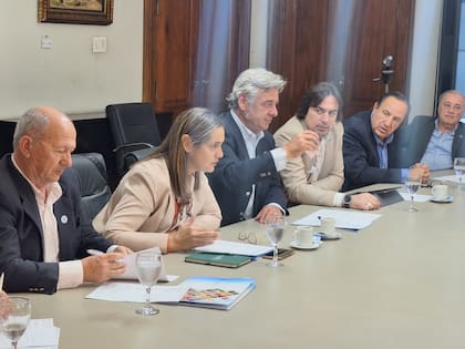 Carlos Castagnani, presidente de Confederaciones Rurales Argentinas (CRA); Andrea Sarnari, presidenta de Federación Agraria Argentina (FAA), Nicolás Pino, presidente de la Sociedad Rural Argentina (SRA); y Lucas Magnano, presidente de Coninagro