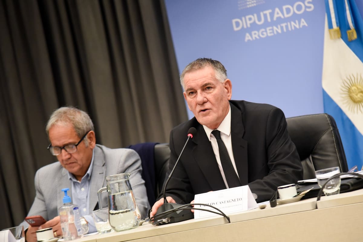 Carlos Castagneto, titular de la AFIP, en la Comisión de Presupuesto de Diputados