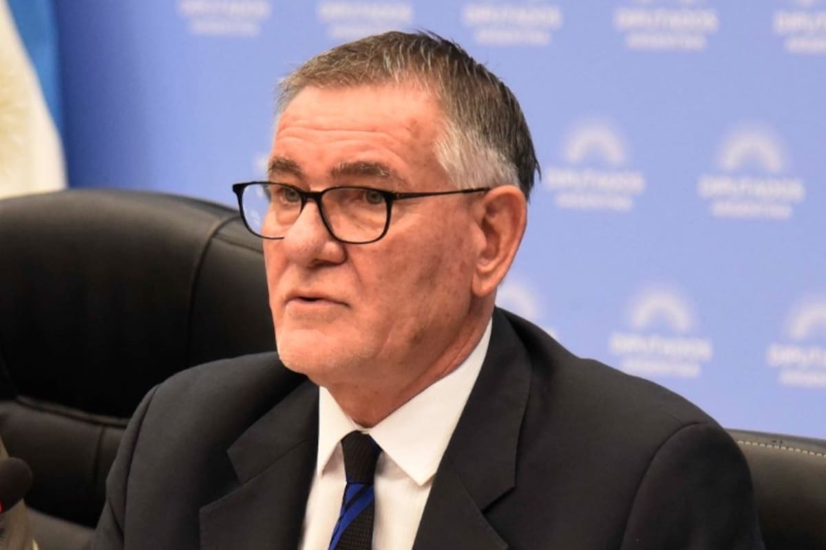 Carlos Castagneto, titular de la AFIP, en la Comisión de Presupuesto