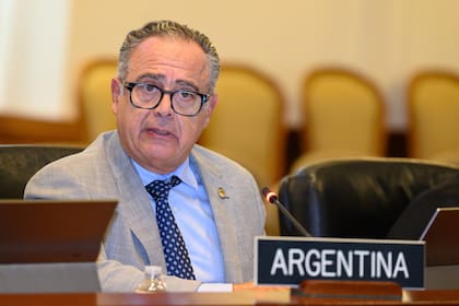 Carlos Cherniak, el embajador argentino ante la Organización de Estados Americanos
