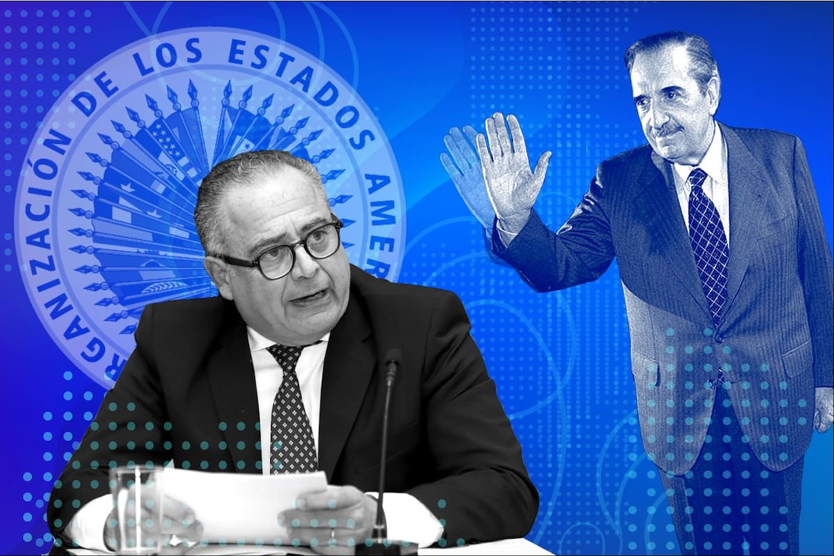 Carlos Cherniak, embajador ante la OEA, y Raúl Alfonsín