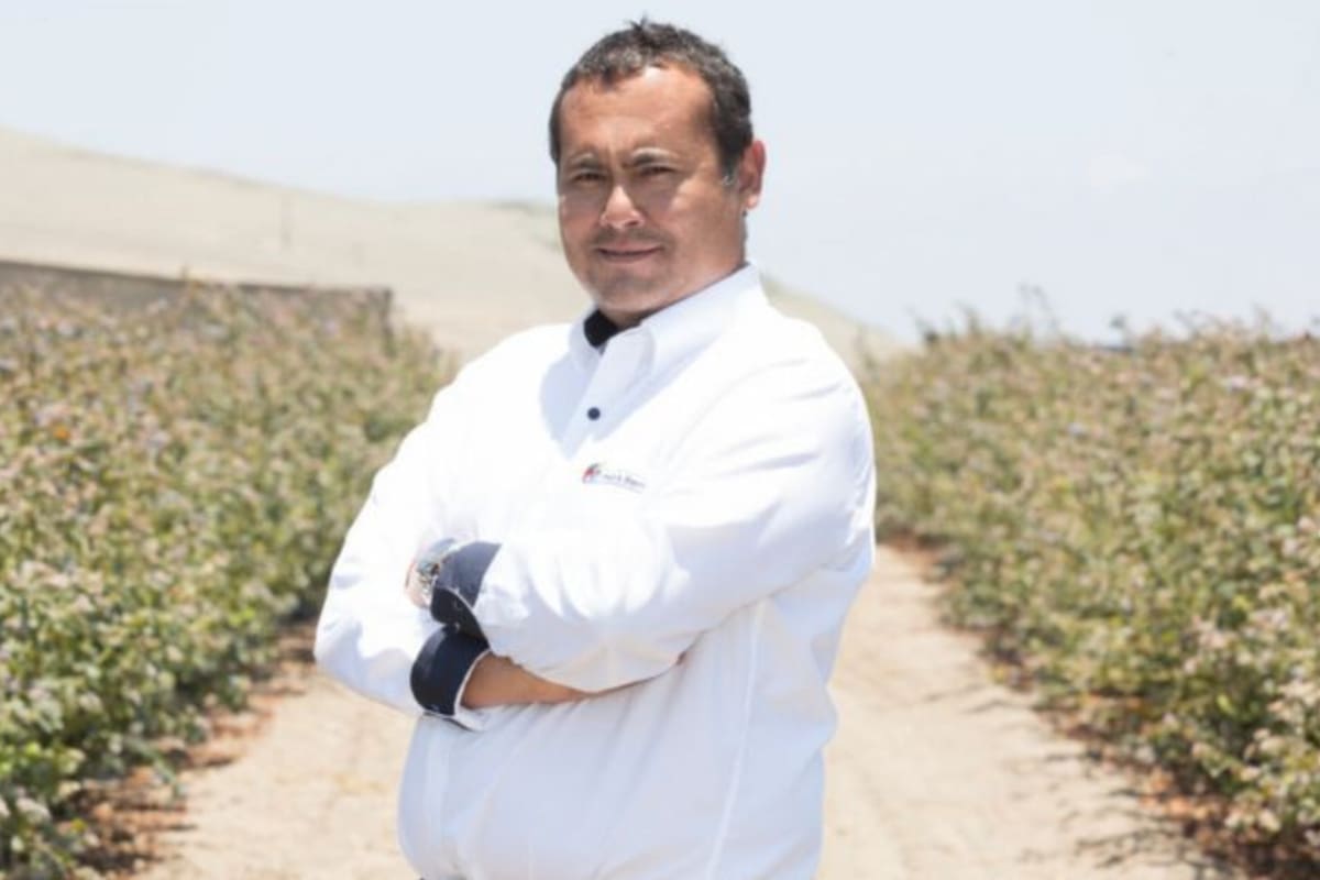Carlos Gereda fue pionero en percibir el potencial de Perú como productor de arándanos