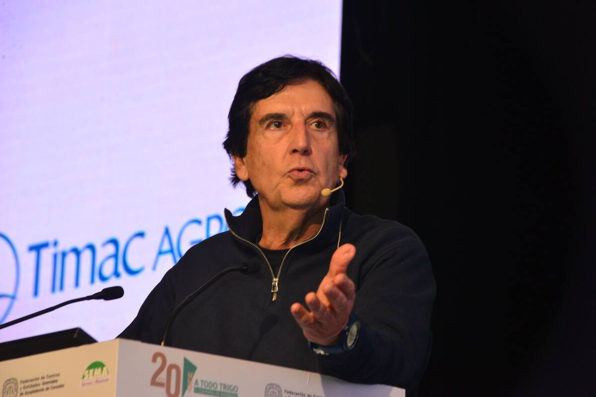Carlos Melconian fue presidente del Banco Nación