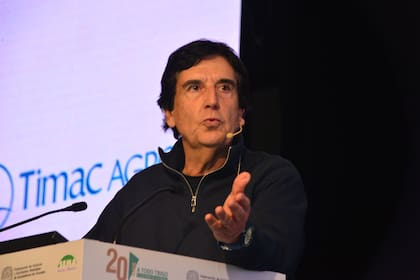 Carlos Melconian fue presidente del Banco Nación