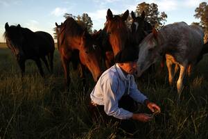 Carlos "Polito" Ulloa en su campo de Lincoln, cuatro décadas domando caballos de Polo