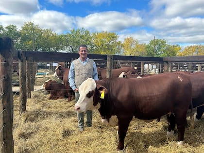 Carlos Roldán, vicepresidente 2º de la Asociación Braford Argentina