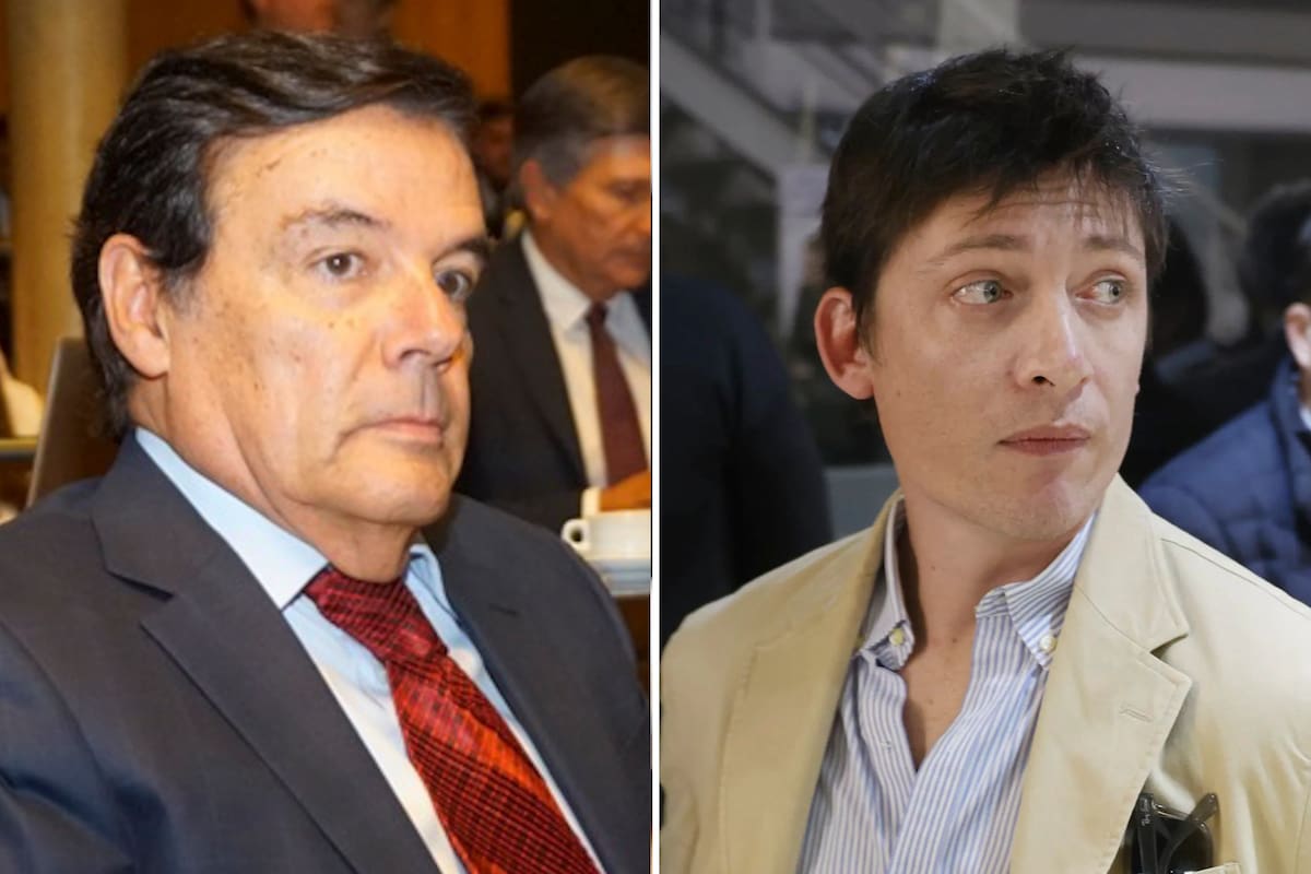 Carlos Rovira, líder político de Misiones, y Santiago Caputo, asesor presidencial clave
