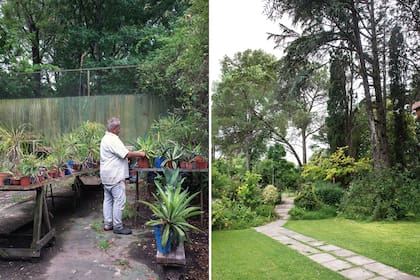 Carlos Valmaggia, en el espacio destinado a la experimentación (izquierda). Su jardín se fue conformando de manera gradual, sin un diagrama, a medida que iban llegando a sus manos nuevas especies de plantas.