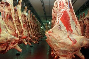 En abril el 80,5% de la carne exportada fue a China