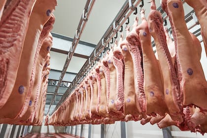 Según los datos de la industria porcina, el cerdo tuvo una baja del 41,0%, la más cercana al salario