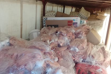 Carne decomisada en la localidad de Río Colorado, en Río Negro