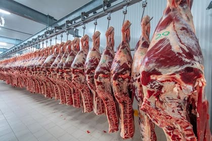 Carne vacuna para exportación