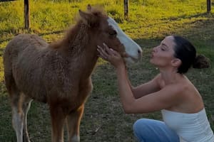 Caro Calvagni utilizó sus redes sociales para colaborar con una ONG que rescata caballos (Foto: Instagram @carocalvagni)