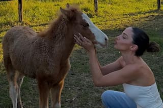 El hospital de caballos que defiende Caro Calvagni y que necesita ayuda para no desaparecer